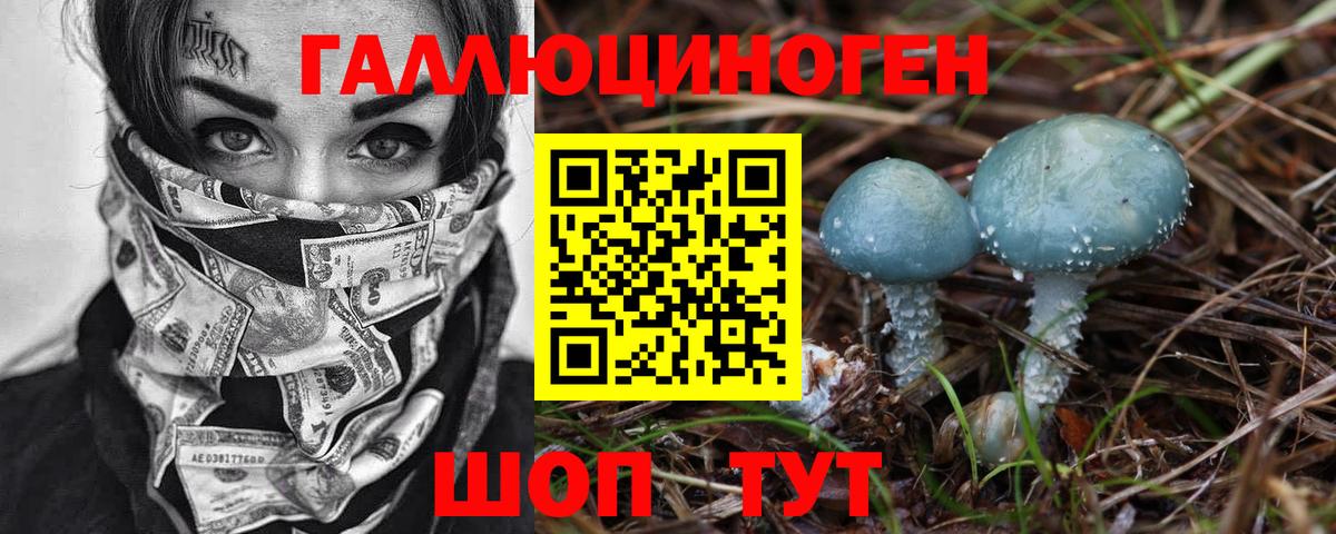 Псилоцибиновые грибы Cubensis  Галлюциногенные грибы мухоморы  Саров  Вход с VPN 